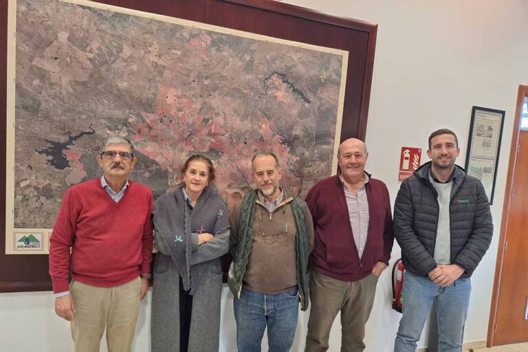 Sur Andévalo junta de gobierno